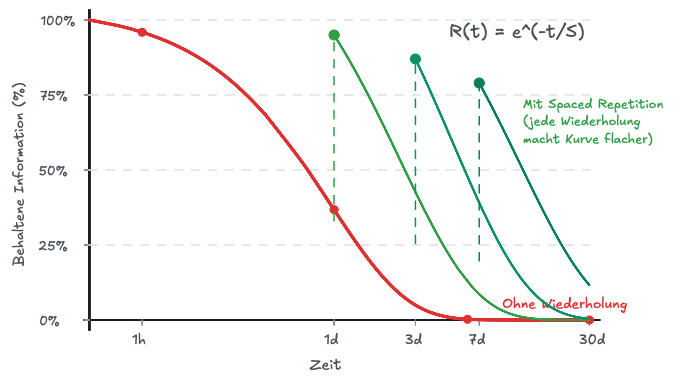 Ebbinghaus-Vergessenskurve und ihre Parallelen zu Catastrophic Forgetting in neuronalen Netzen