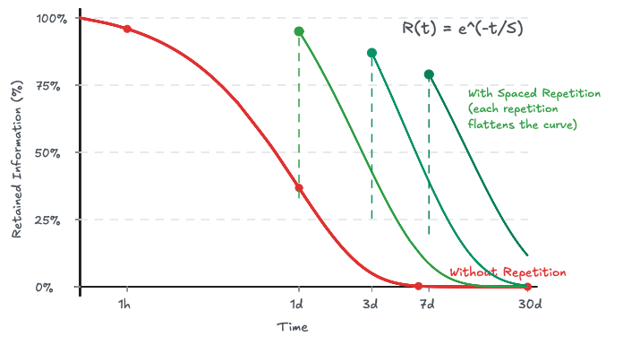 Ebbinghaus forgetting curve and its parallels to catastrophic forgetting in neural networks